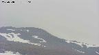 area4-20250518183105.jpg
