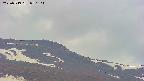area4-20250519050104.jpg