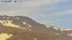 area4-20250519063103.jpg