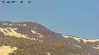 area4-20250519065104.jpg