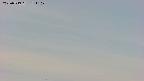 area4-20250519151108.jpg