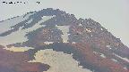 area4-20250522183104.jpg