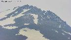 area4-20250526130106.jpg