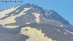 area4-20250529054105.jpg