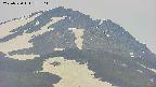 area4-20250530175105.jpg