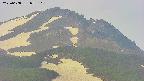 area4-20250608055106.jpg