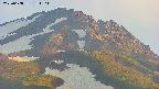 area4-20250608184104.jpg