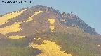 area4-20250610050103.jpg