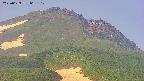 area4-20250629065108.jpg