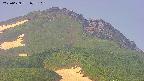 area4-20250629073109.jpg