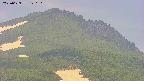 area4-20250629120121.jpg