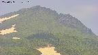 area4-20250629123115.jpg