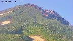 area4-20250708052107.jpg