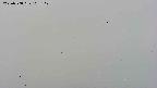 area4-20250708103108.jpg